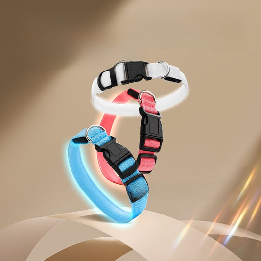 USB Rechargeable Pet Light Up Collar