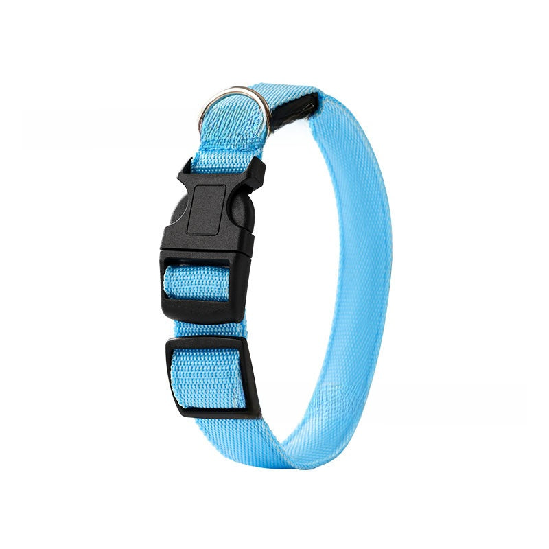 USB Rechargeable Pet Light Up Collar
