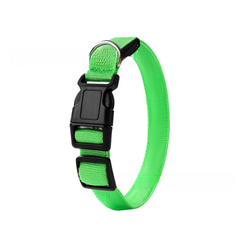 USB Rechargeable Pet Light Up Collar